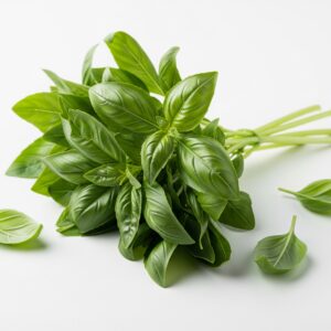 albahaca
