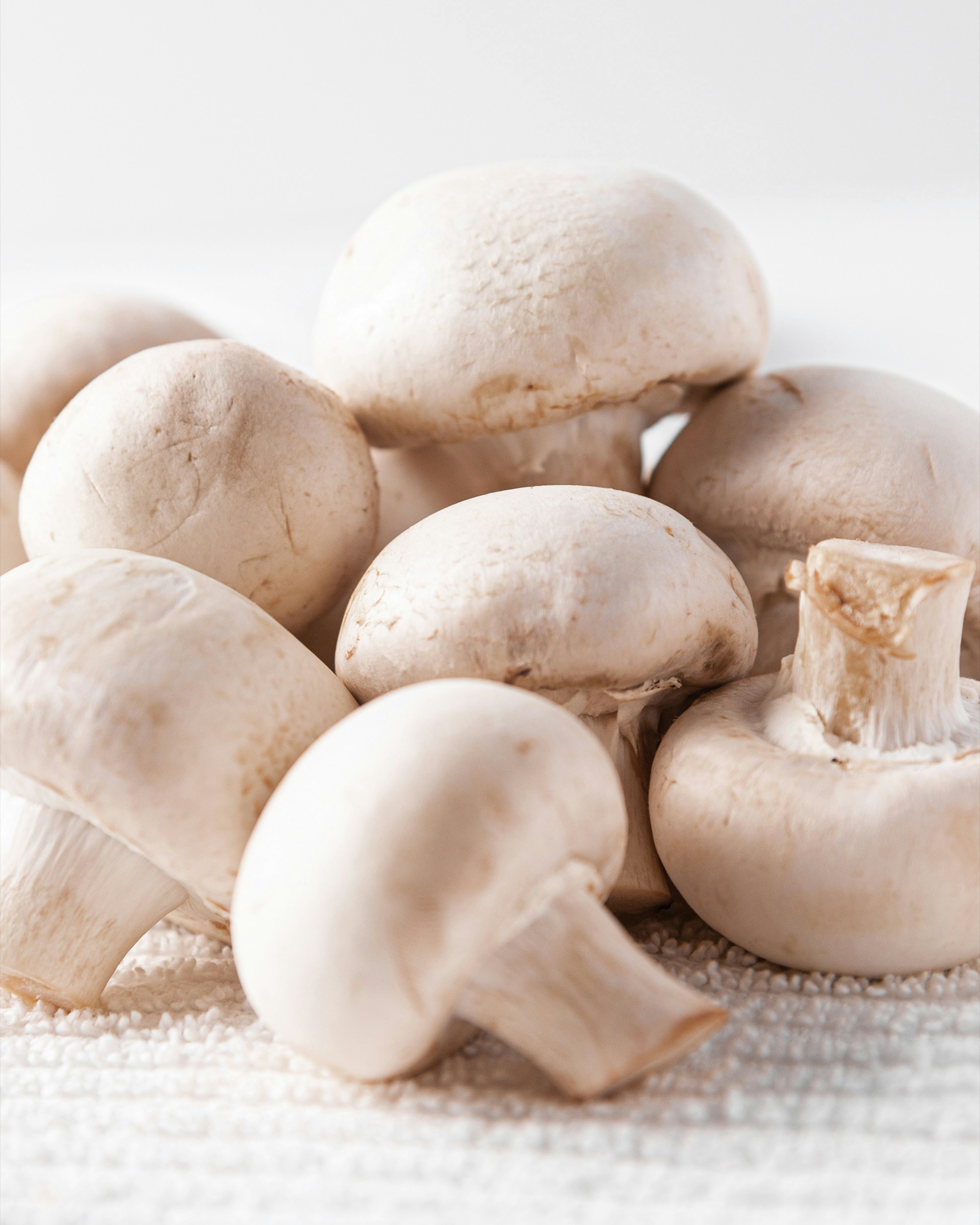 champiñones